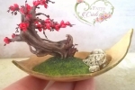 Bonsai in miniatura in pasta polimerica termoindurente