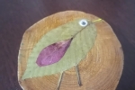 Disco di legno con uccellino di foglie secche